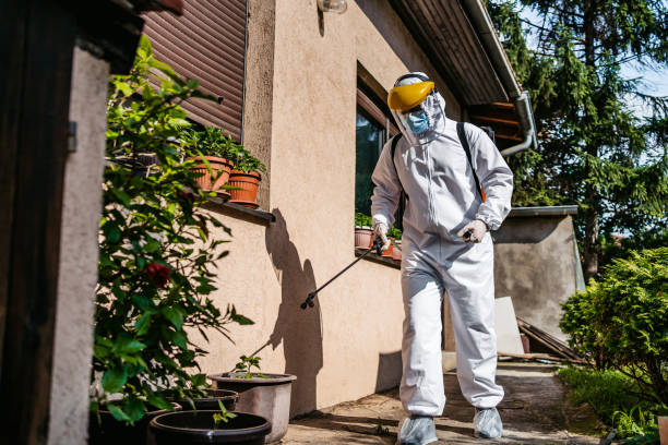 Best Affordable Pest Control Services  in Lafayette, OR