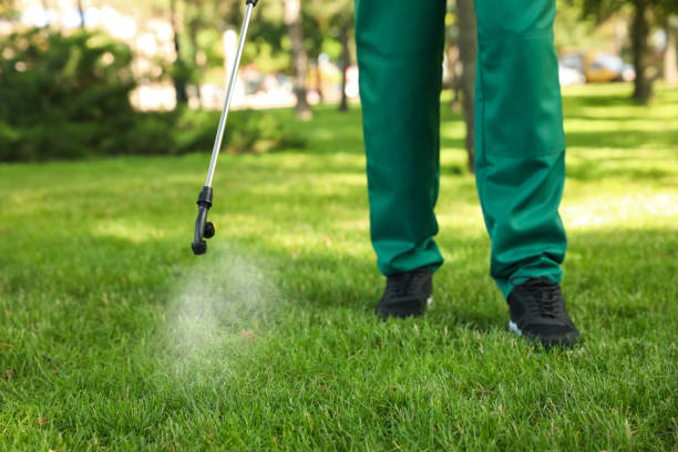 Best Pest Prevention Services  in Lafayette, OR