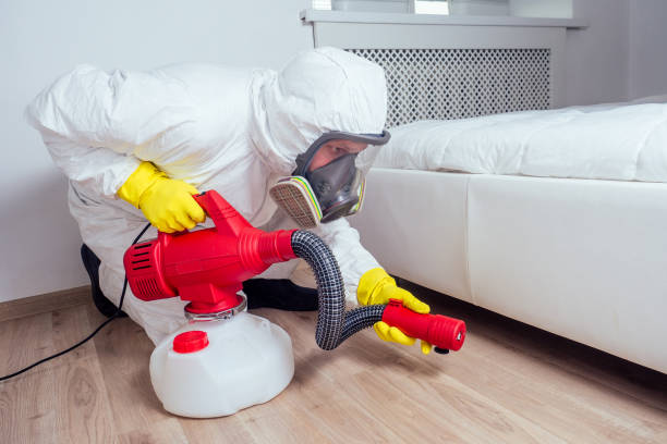 Best Rat Extermination Near Me  in Lafayette, OR