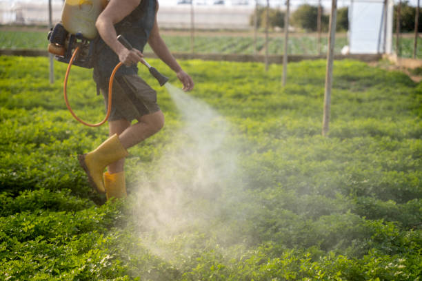 Best Commercial Pest Control Services  in Lafayette, OR