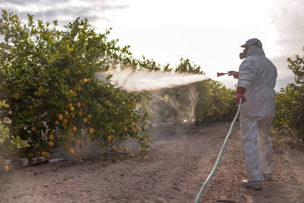 Best Local Pest Control Services  in Lafayette, OR