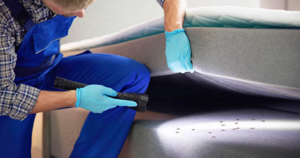 Best Best Pest Control Companies  in Lafayette, OR