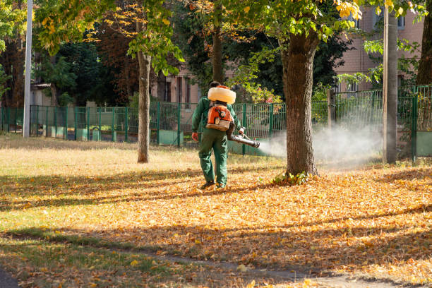 Best Cockroach Control Services  in Lafayette, OR